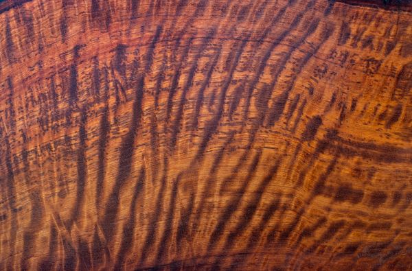 Tiger Wood Floor Refinishing Service