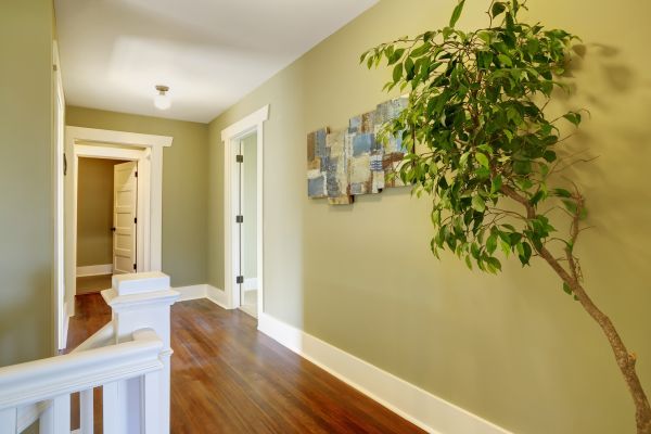Maple Floor Staining Service